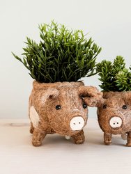 Pig Planter - Coco Coir Pots