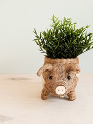 Pig Planter - Coco Coir Pots