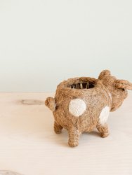 Pig Planter - Coco Coir Pots