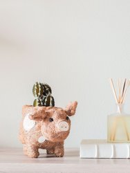 Pig Planter - Coco Coir Pots - Natural and White