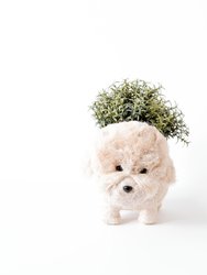 Poodle Planter - Coco Coir Pots