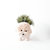 Poodle Planter - Coco Coir Pots