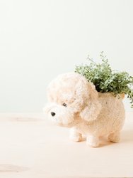 Poodle Planter - Coco Coir Pots