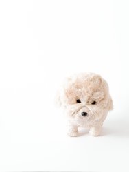 Poodle Planter - Coco Coir Pots