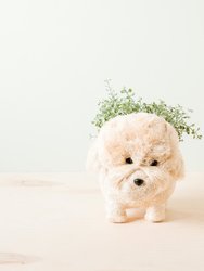 Poodle Planter - Coco Coir Pots - White