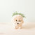 Poodle Planter - Coco Coir Pots - White