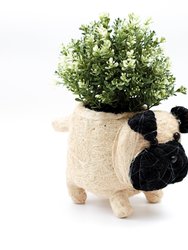 Pug Planter - Coco Coir Pots