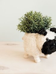 Pug Planter - Coco Coir Pots