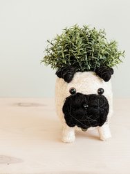 Pug Planter - Coco Coir Pots - Black and White