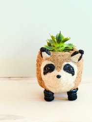 Raccoon Planter - Handmade Plant Pot