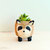Raccoon Planter - Handmade Plant Pot