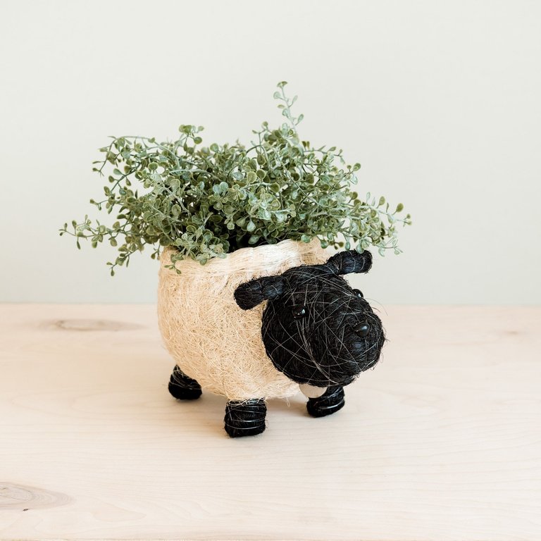 Sheep Planter - Coco Coir Pots - Black and White