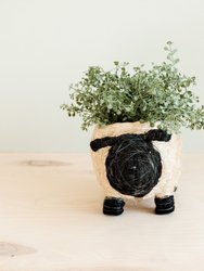 Sheep Planter - Coco Coir Pots