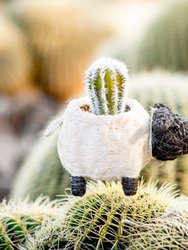 Sheep Planter - Coco Coir Pots