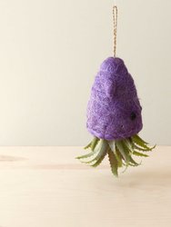 Squid Hanging Planter For Air Plants - Handmade Plant Pot