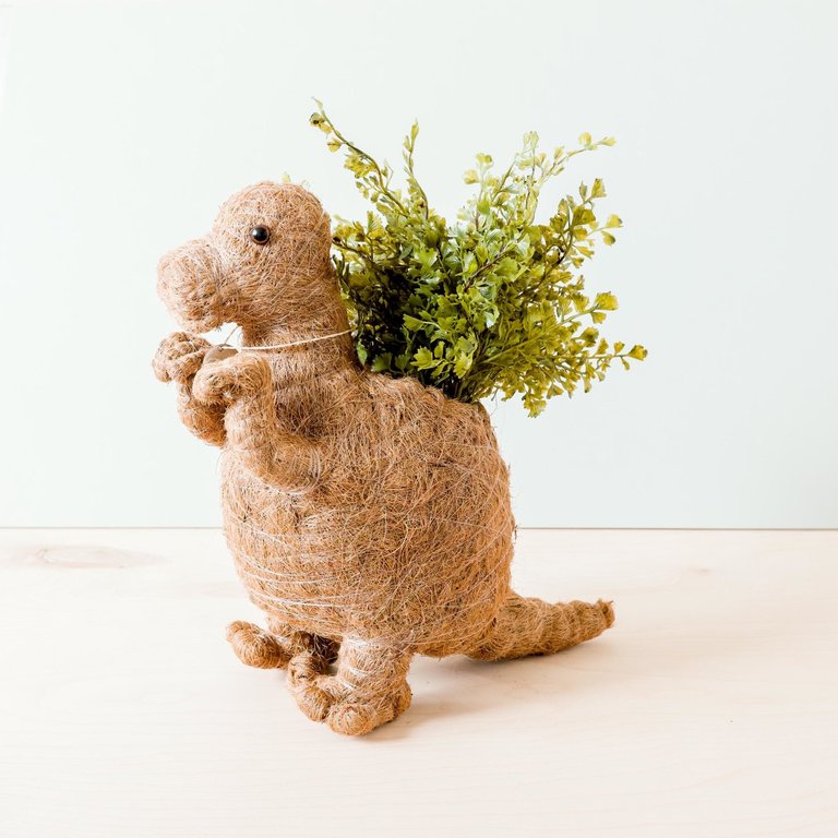 T-Rex Planter - Coco Coir Pots - Natural Brown