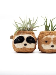 Three-tone Sloth Coco Coir Planter - Handmade Planters