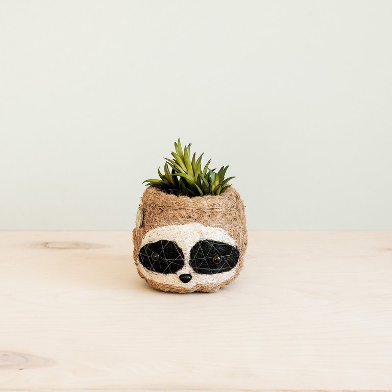 Three-tone Sloth Coco Coir Planter - Handmade Planters - Natural/White/Black