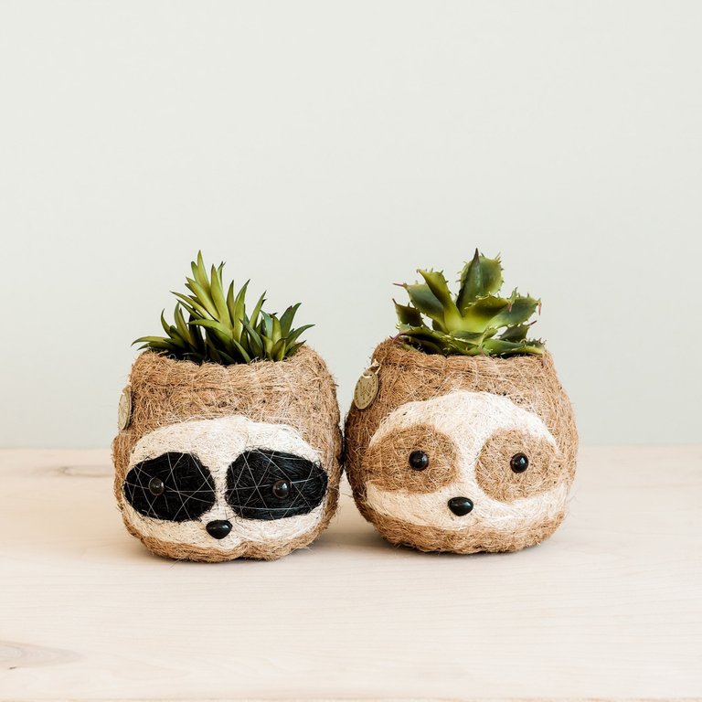 Three-tone Sloth Coco Coir Planter - Handmade Planters