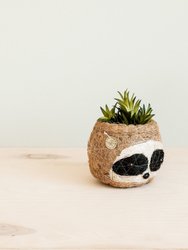 Three-tone Sloth Coco Coir Planter - Handmade Planters