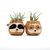 Three-tone Sloth Coco Coir Planter - Handmade Planters