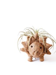 Triceratops Planter - Coco Coir Pots