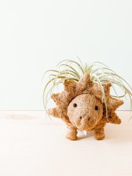 Triceratops Planter - Coco Coir Pots - Natural Brown