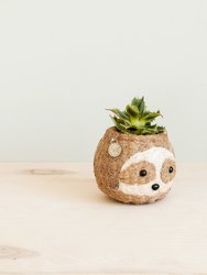 Two-tone Sloth Coco Coir Planter - Handmade Planters