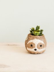 Two-tone Sloth Coco Coir Planter - Handmade Planters - Natural and White