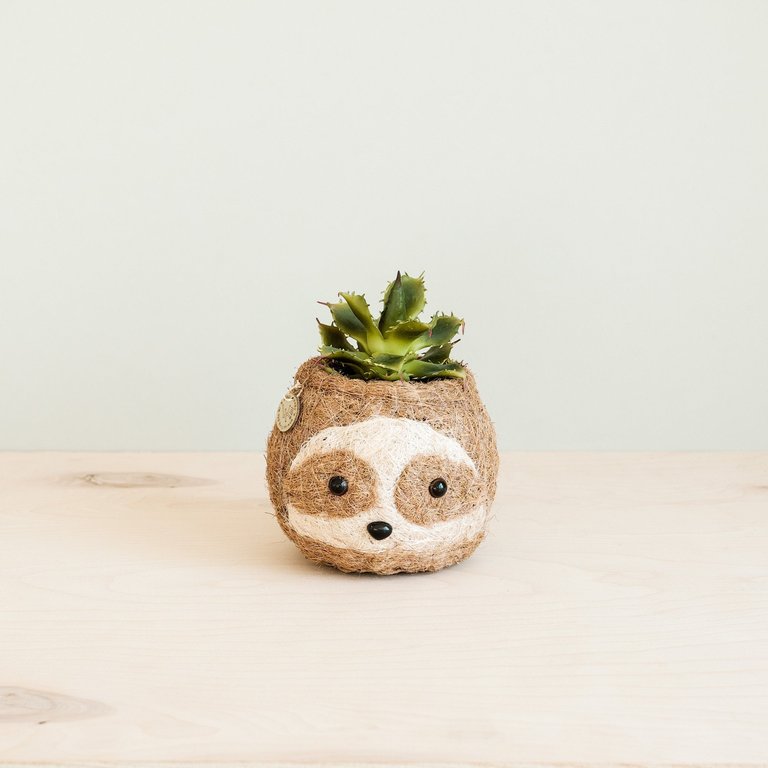 Two-tone Sloth Coco Coir Planter - Handmade Planters - Natural and White