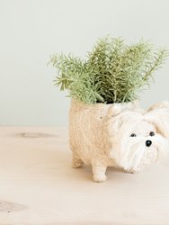 Westie Planter - Coco Coir Pots - White