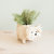 Westie Planter - Coco Coir Pots - White