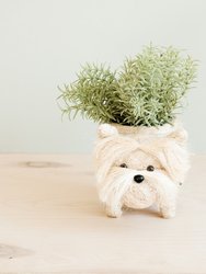 Westie Planter - Coco Coir Pots