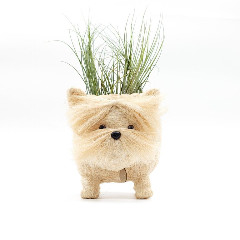 Westie Planter - Coco Coir Pots