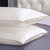 22 Momme Terse Envelope Silk Pillowcase