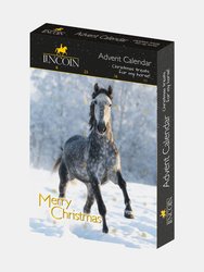 Lincoln Christmas Herb Stix Horse Advent Calendar (Pack Of 6) (Black/Gray) (Pack of 6) - Black/Gray