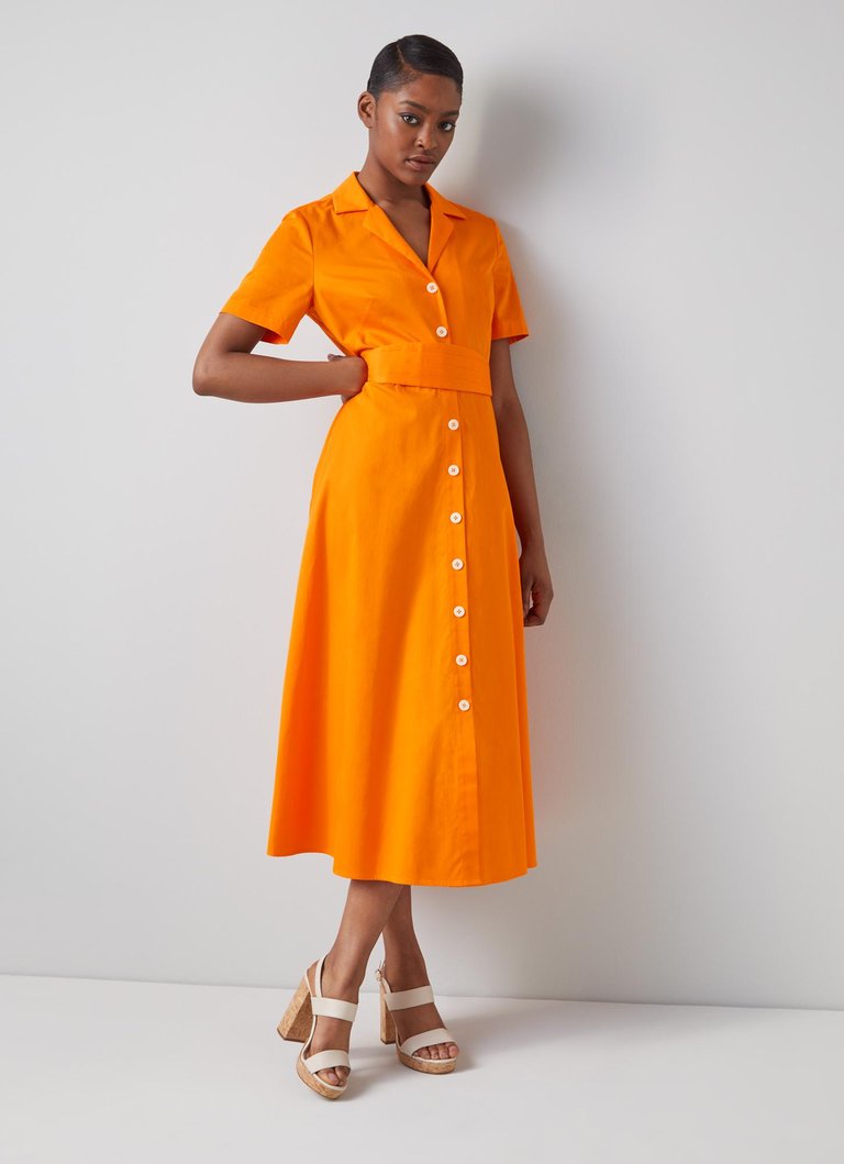 Joplin Russet Orange Dress