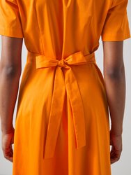 Joplin Russet Orange Dress