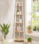 Haroon Bookshelf - White / Natural