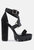 Fresh Daisy Harness Straps Block Heel Sandals - Black