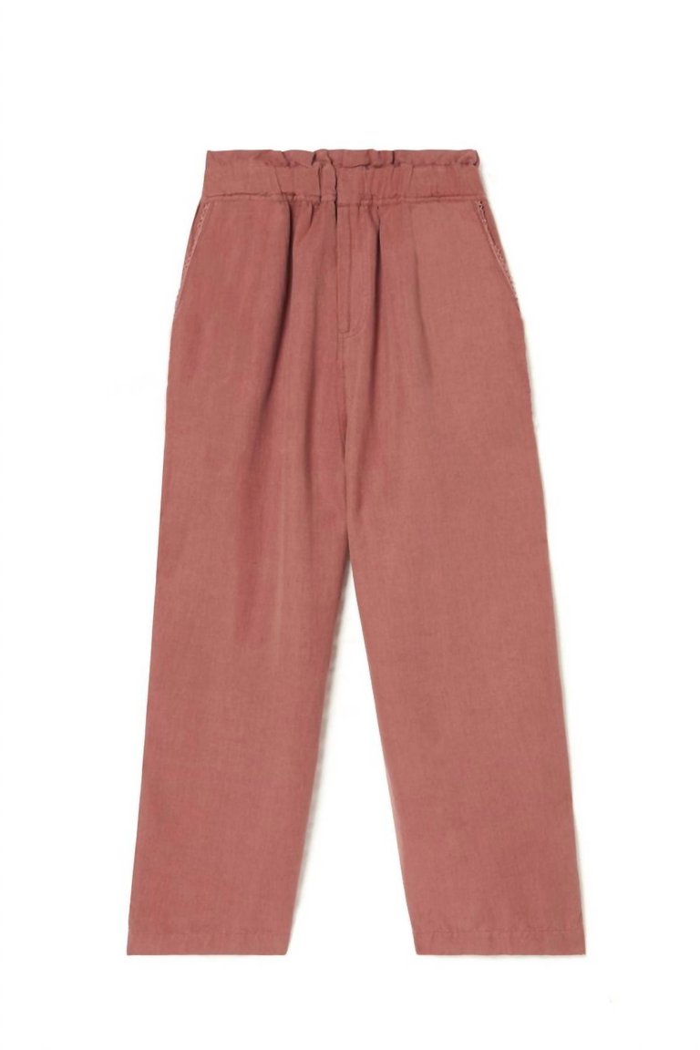 Women's Arloew Pants In Terracota - Terracota