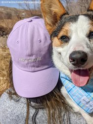 Dog Mom Hat