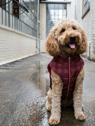 Holly Jolly Reversible Puffer Vest