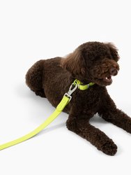 Tennis Ball Everyday PVC Leash