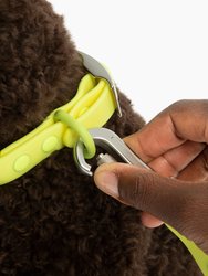 Tennis Ball Everyday PVC Leash