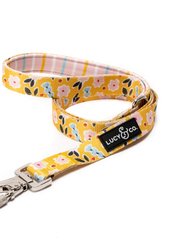 The Little Lamb Leash