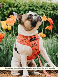 The Posy Pink Reversible Pet Harness