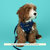 The Space Doodle Pet Reversible Harness