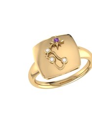 Aquarius Water-Bearer Amethyst & Diamond Constellation Signet Ring in 14K Yellow Gold on Sterling Silver