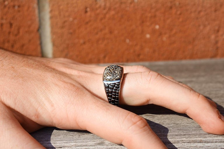 Fossil Agate Stone Signet Ring in Black Rhodium Plated Sterling Silver